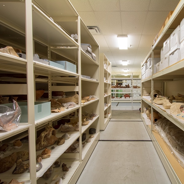 open shelving stores museum collections