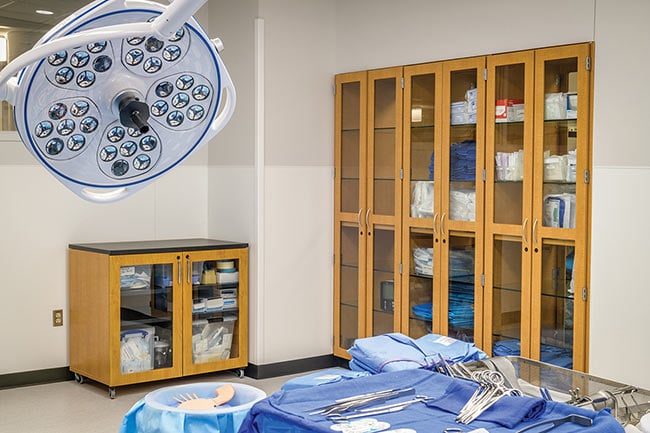 Procedure Room Modular Storage Cabinets with Glass Doors
