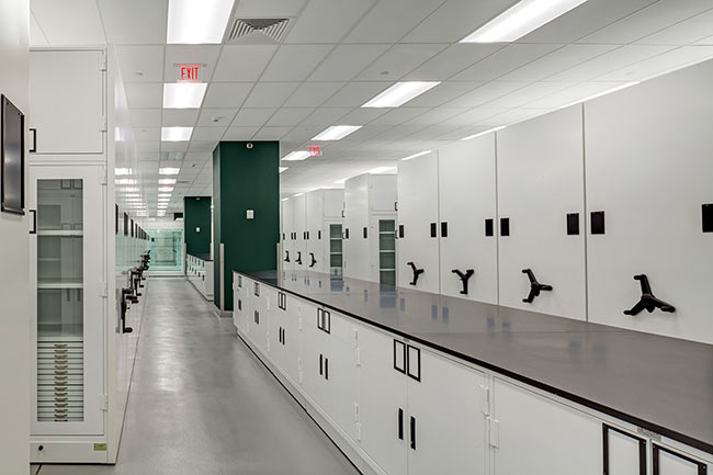 Museum Cabinets and High-Density Mobile Shelving