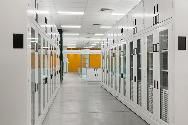 Secure Museum Cabinets with Glass Doors