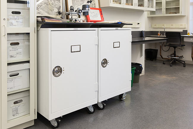 Under-counter Museum Cabinets with Casters