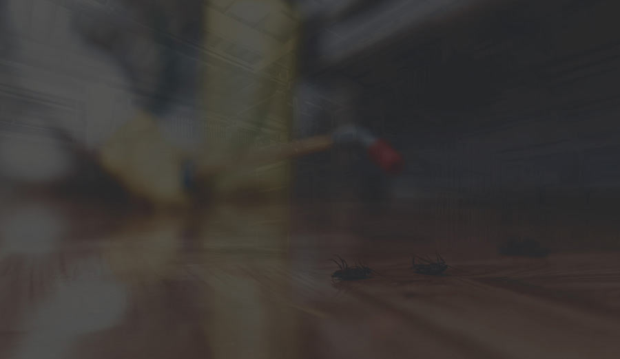 Solving a Pesky Storage Challenge