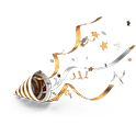 Claims Portal