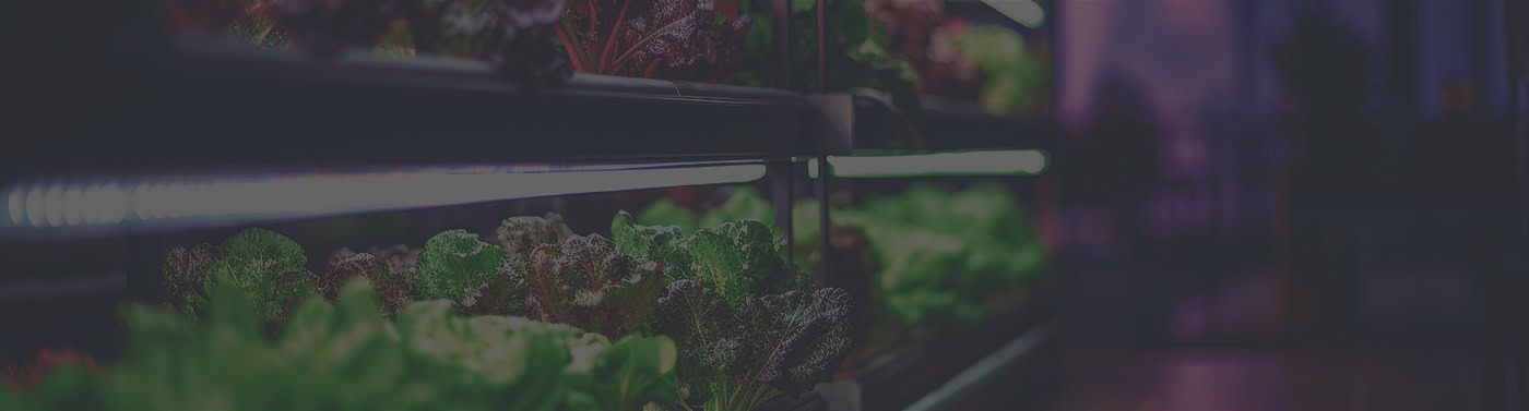 Grow-Industry-Page-banner