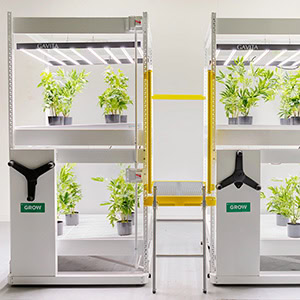 GROW-crosswalk-Farming