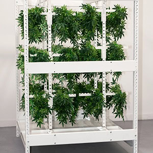 GROW-drying-system-Farming
