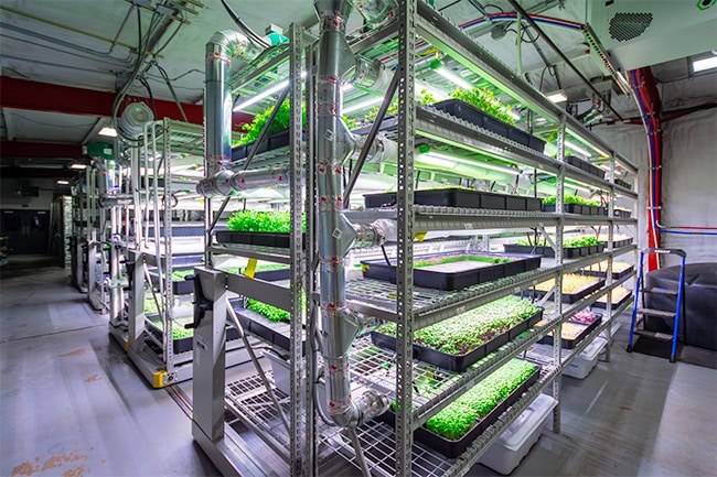 Vertical-Farming-Mobile